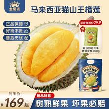 金尼尧 泰国金枕榴莲果肉 100g/盒