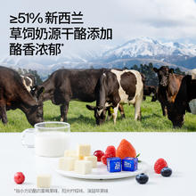 Dr.CHEESE 奶酪博士 奶酪小方即食芝士奶油奶酪乳酪芝士零食涂抹奶酪90g