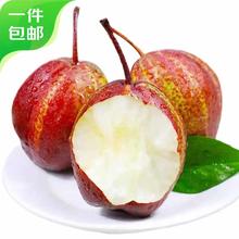 Mr.Seafood 京鲜生 彩虹梨3斤 单果140g起 生鲜水果 源头直发