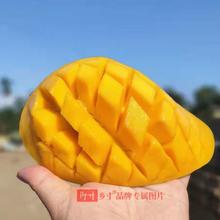 乡寸 海南金煌芒果5斤装单果350g起