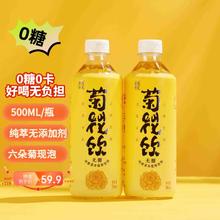 草本遇见 菊花饮植物茶 0糖0脂0添加剂15瓶装整箱