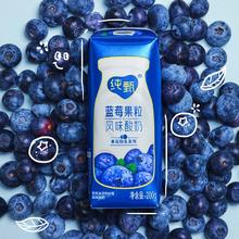 纯甄蓝莓风味果粒酸奶200g*10盒