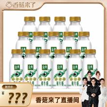 yili 伊利 低温鲜奶金典235ml*15瓶