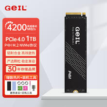 GeIL 金邦 P4H NVMe M.2 固态硬盘 1TB（PCI-E 4.0）