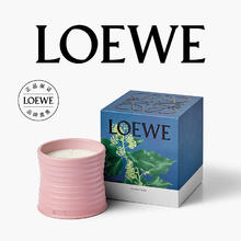 LOEWE 罗意威 长春藤香薰蜡烛 170g