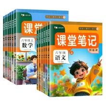 可用签到红包 2024秋季新版小学课堂笔记