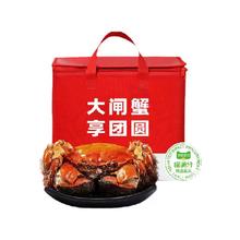 喵满分 精品六月黄 鲜活大闸蟹 12只装1.3-1.6两/只礼盒