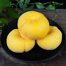 多荣商超精选 山东蒙阴黄毛蟠桃 2.5斤 拍2份合发一箱5斤装（7-13个） 甄选黄金毛蟠桃 净重2.25斤