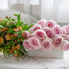 京东鲜花 玫瑰20枝+六出花20枝