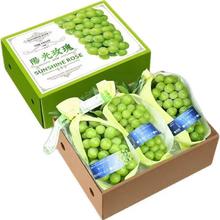 橙央 阳光玫瑰 葡萄 净重5斤（单果6-12g）