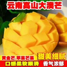 滇老头 云南黄金澳芒果苹果芒5斤