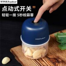 Royalstar 荣事达 多功能电动搅碎机300mL