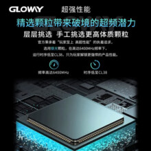 光威（Gloway）32GB(16GBx2)套装 DDR5 6400 台式机内存条 龙武系列 镁光颗粒 助力AI