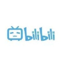 bilibili 哔哩哔哩 大会员12个月