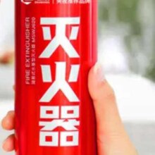 需首购、plus会员、京东百亿补贴:准航车载灭火器 3C认证器材21B便携 620ml