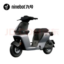 九号（Ninebot）【新品】电动自行车Cz90智能电动车新国标可上牌【门店自提】 到门店选颜色