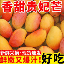 plus会员:甜萌果蔬【现货】贵妃芒芒果现摘广西新鲜水果水仙非小台农端午送礼 5斤整箱精选大果装【100g+】