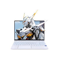 机械革命 耀世15Pro 15.3英寸笔记本电脑（i7-14650HX、16GB、1TB SSD、RTX 4060 8G）