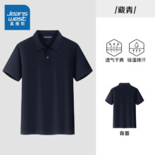 真维斯（Jeanswest）2024新款夏季polo衫 任选*2件