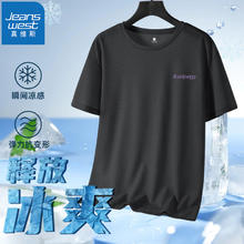 JEANSWEST 真维斯 男士网眼冰丝速干T恤 GW-17D010