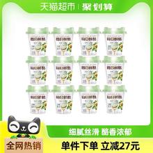MENGNIU 蒙牛 每日鲜酪低温酸奶 牛油果味 100g×12杯+特仑苏125g*3杯