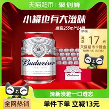 Budweiser 百威 小麦醇正啤酒整箱Mini罐255ml*24听