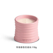 LOEWE 罗意威 常春藤香氛蜡烛 170g