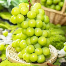 PLUS会员:裕琼 阳光玫瑰葡萄 8-10g 3斤 净重2.5斤