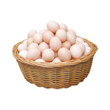 喵满分 精选农家散养土鸡蛋35g*6只