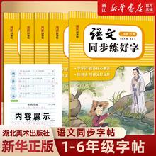 《2024人教版小学同步练字帖》