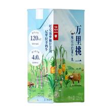 lepur 乐纯 减乳糖儿童水牛牛奶4.0g蛋白高钙营养早餐纯奶整箱125ml*9盒