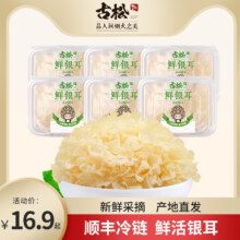 古松 新鲜银耳白木耳鲜活雪耳 6朵/700g