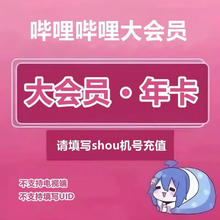 哔哩哔哩 大会员12个月年卡