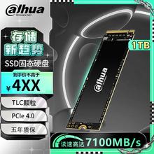 Dahua 大华 C970 PLUS 固态硬盘 1TB