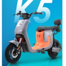 LUYUAN 绿源 K5 电动自行车 48V24A锂电池