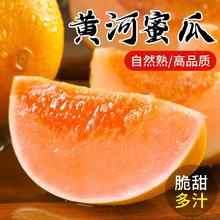 特大果 黄河蜜瓜 10斤装（2-4个）