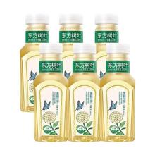 东方树叶 农夫山泉东方树叶335ml整箱茉莉花茶青柑普洱茶乌龙茶无糖饮料
