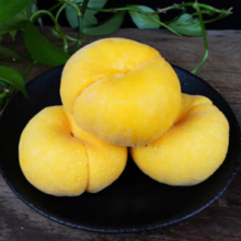 PLUS会员！山东蒙阴黄金毛蟠桃    净重2.25斤