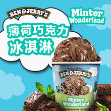 BEN & JERRY'S 本杰瑞冰淇淋 桶装