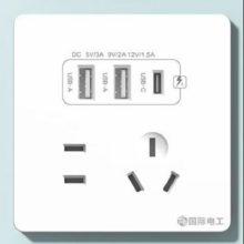 PLUS会员、需首购：国际电工 双USB插座面板 20W快充 五孔2.1A双USB+type-c 白色