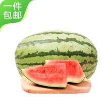 30日0点：Mr.Seafood 京鲜生 宁夏硒砂西瓜 1粒装 净重13-16斤