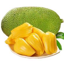 百果捞铺子 海南黄肉菠萝 20-25斤 /1个