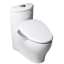 科勒（KOHLER）智能马桶坐便器家用1级水效座便器速热全功能3869+18649 305坑距