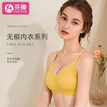FENTENG 芬腾 女士无钢圈文胸 120G6656