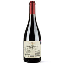CONCHA Y TORO 干露 典藏西拉 干红葡萄酒 750ml