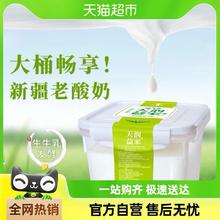 TERUN 天润 新疆特产低温生鲜家庭装益家方桶 老酸奶2kg*1桶
