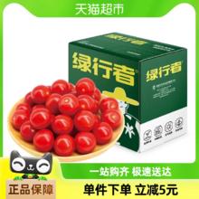 88VIP会员：GREER 绿行者 樱桃小番茄 1kg