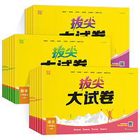 《小学拔尖大试卷》（年级，科目任选）