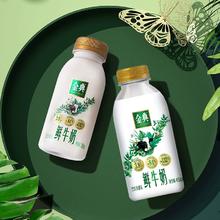 伊利金典鲜牛奶450ml*4+235ml*5瓶装