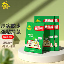 Goldeer 金鹿 粘鼠板胶水捕鼠神器 家用捕鼠灭鼠贴 老鼠板粘鼠贴 加大加厚 5张装